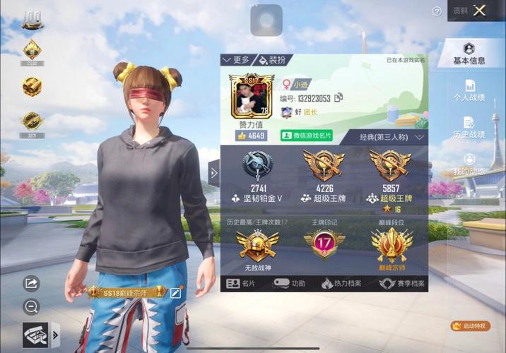 和平精英辅助【巡查员直装V1.0】人物透视 雷达预警 全车美化 枪械美化 人物加速